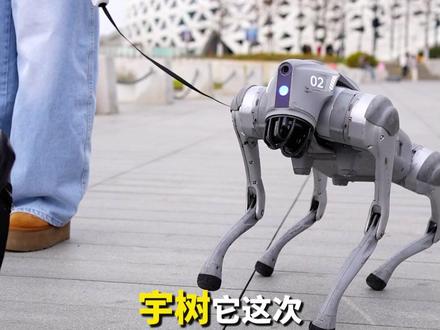 宇树这次是真的太宠了!降价免息全都给你安排到位了 #宇树#unitree#宇树机器狗#机器狗#新年