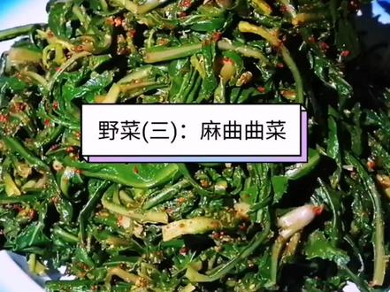 #舌尖上的美食 #家常菜 #野菜美食 #民勤农家 #民勤美食 #抖音美食创作人 民勤野菜(三): 麻曲曲菜