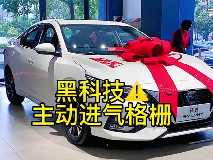 智能主动进气格栅有什么作用呢?#每天一个用车知识 #厉害了我的车 #汽车知识 #城市通勤更优选择