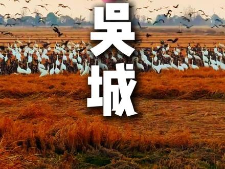 武汉自驾组队去江西吴城-鄱阳湖候鸟小镇两日活动回顾 武汉自驾去鄱阳湖水上公路两日游活动回顾#武汉自驾江西水上公路 #武汉自驾团许公子 #武汉自驾江西永修吴城候鸟小镇 #武汉自驾鄱阳湖 #2026武汉清明节自驾游线路 2026武汉五一自驾游线路攻略 武汉周末自驾游 武汉周边自驾游 武汉自驾游线路攻略