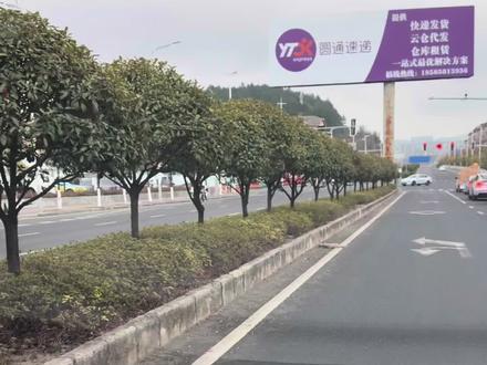 可怜的小猫,就这样去了喵星!#猫咪 #喵星人