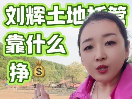 #刘辉土地托管 #抖音三农扶持计划 #三农流量扶持计划 @抖音小助手
