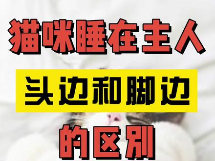 猫咪睡在主人头边和脚边竟然是这个意思……铲屎官们都知道吗?@抖音小助手 @DOU+小助手 @宠物研究所! #猫咪 #宠物知识