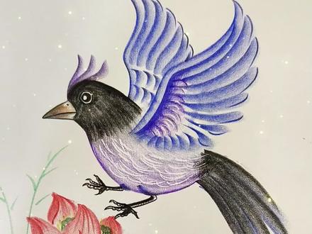 荷风送喜,瑞鸟呈祥 用彩色炭笔画一只喜鹊落荷间,祝大家马年万事皆欢喜,好运连连到身边!#零基础学画画 #简笔画教程 #新年主题画 #炭笔画 #鸟的简单画法