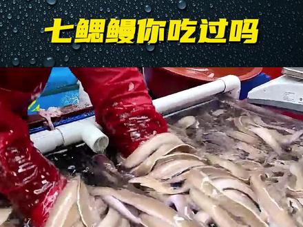 七鳃鳗你过吗?来看看制作过程吧。#七鳃鳗 #吃货 #吃货日常 #美食 #美食分享 #好吃的 #科普 #抖音美食推荐官 #食品工厂