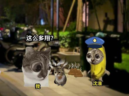 《池池花痴》第二集#猫meme #猫meme日常 #猫meme小剧场 #猫meme故事 #热门