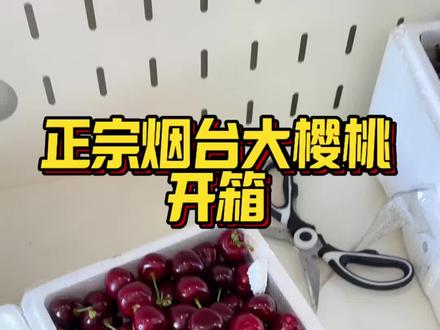 从烟台人肉背回来的大樱桃,给大家开个箱看看,跟网上价格和大小对比一下哈哈 #山东大樱桃 #樱桃 #车厘子 #烟台大樱桃 #网购