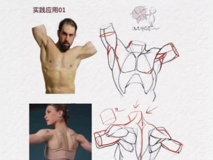 嘴唇画得像贴纸?这条视频帮你改掉坏习惯! 嘴唇画得扁平,因为只画轮廓线没画面。上唇面向下转,下唇面向上抬,靠近嘴角转折更明显。唇柱不是凸点是凹面,线条要贴形走。把嘴当成有厚度的体块理解,比套用一百个嘴型公式都管用。结构对了,简单几笔也有体积感。#画渣日常摸鱼 #自学画画 #人体结构 #画画