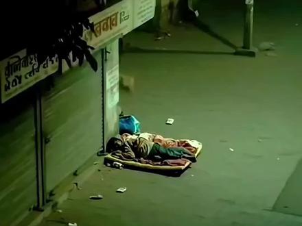 狮子半夜闯进居民小区 #野生动物零距离