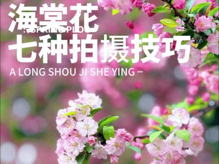 七种拍花技巧,你学会了几种#手机摄影#春天