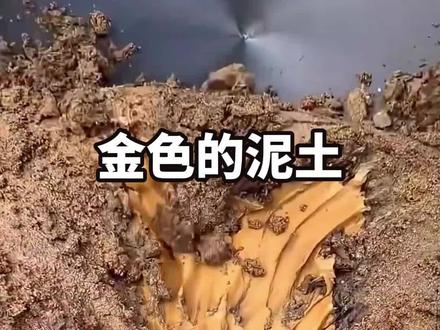 当你挖出金色的泥土你会干什么 #科普 #淘金 #泥土