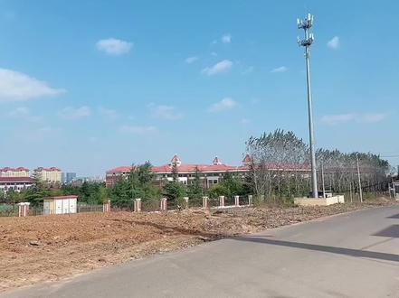 胶州实验初中小学部已经在建设当中了,23年开始招生,周围新楼盘有碧桂园和诚园,都是洋房奥~