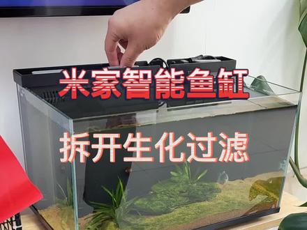#新手养鱼 #养鱼日记 #米家智能鱼缸
米家智能鱼缸拆开生化过滤换滤材,之前很多朋友在评论区问的。@DOU+小助手 @抖音小助手