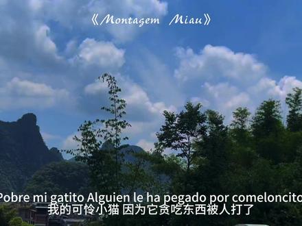 “前方含喵量超标 喵喵~”#音乐分享