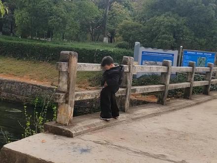 稚子年少不知事,却是人生最乐时,何人不羡稚子时,唯有稚子不自知。