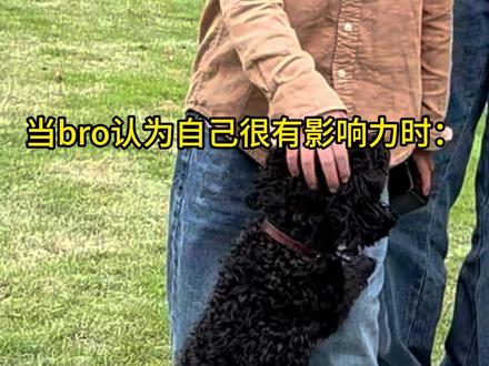 你们觉得仨娃谁的影响力最大 #家庭搞笑 #当bro以为自己很有影响力