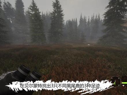 猎人荒野的召唤莱顿湖区支线任务详细攻略 霍普任务#1