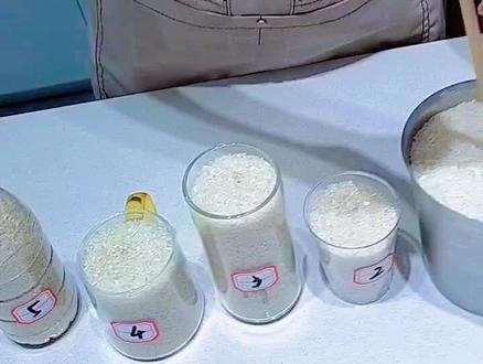 筷子提米与什么有关?#和墨实验室