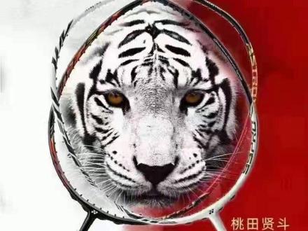 网红羽拍,闪亮登场