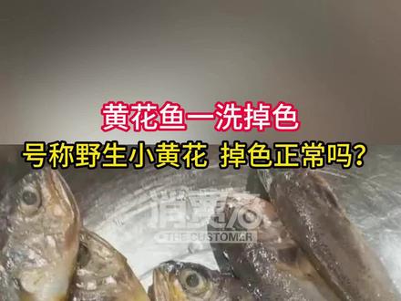 号称野生小黄花,一洗掉色正常吗?内行一看f发现,所谓的黄花竟然是......#黄花鱼 #海鲜 #科技与狠活