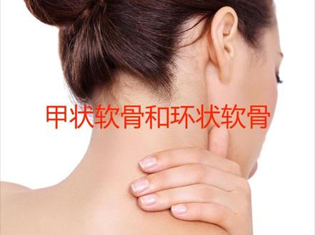 甲状软骨和环状软骨