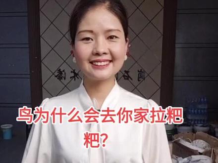 有谁想生活在到处是粪便的房子里呢?#平远自建房装修 #平远建隆建材