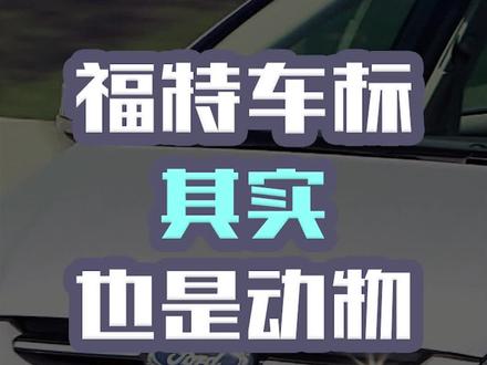 #汽车 #抖音汽车 #抖音车王争霸赛 @抖音小助手 福特的车标也是动物你知道吗?