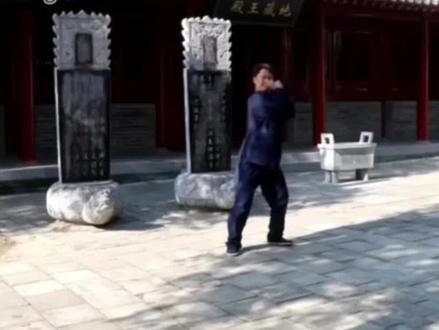 少林心意把入门基本功#少林心意把#心意把