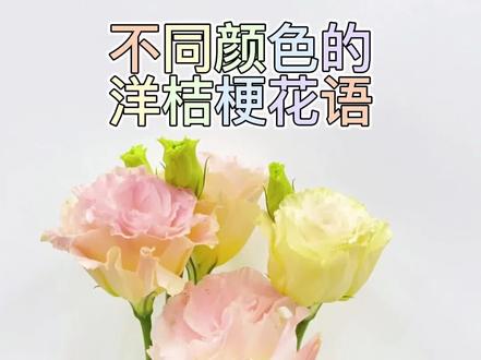 洋桔梗
花语:纯洁的爱、无悔的爱、绝望的爱
颜色:粉色、白色、绿色、蓝色、红色
寓意:爱的永恒和毫无保留的馈赠
#花语 #花与生活 #鲜花 #春天里的浪漫鲜花占一半 #洋桔梗花语