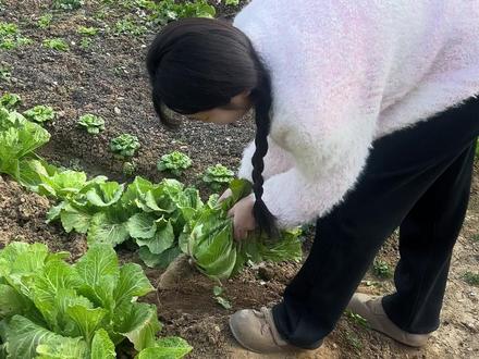 洋气毁了,回村找不到垃圾桶...