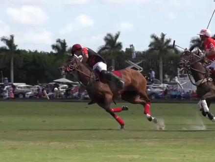 中文秒学会马球打法和规则#马球#箱包#奢侈品