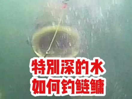 特别深的水用手杆如何钓鲢鳙#创作灵感 #钓鱼技巧 #浮钓鲢鳙 #钓鲢鳙技巧 #钓鱼知识 @抖音小助手