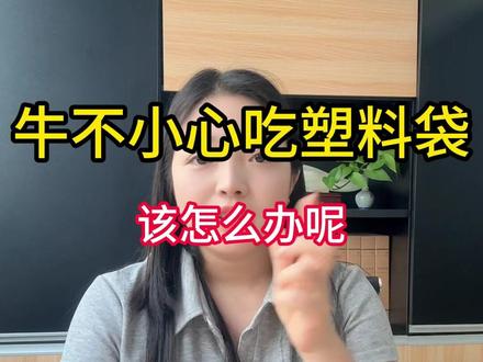 牛不小心吃塑料袋该怎么办呢##牛 #养牛 #养牛人 #养牛技术