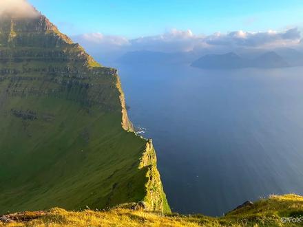 神秘培养皿净化抖音.#抖音神秘净化组织