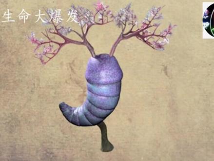 寒武纪生命大爆发背后的真正原因是什么?