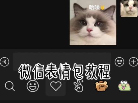 微信表情包教程#表情包制作教学 #小猫表情包