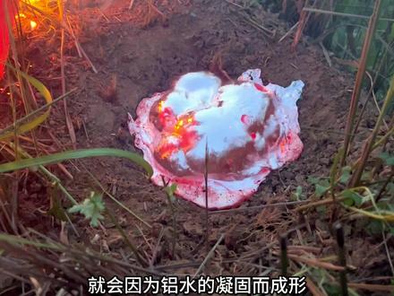 入侵物种红火蚁泛滥成灾,村民丧彪用2000度铝水浇灌巢穴,不料意外得到一件举世无双的艺术品