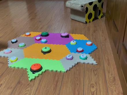 猫咪学新词全过程,四词组句,就是这么丝滑 #猫咪玩语音按钮 #猫咪会说话 #流浪猫逆袭 #铲屎官和猫咪的日常