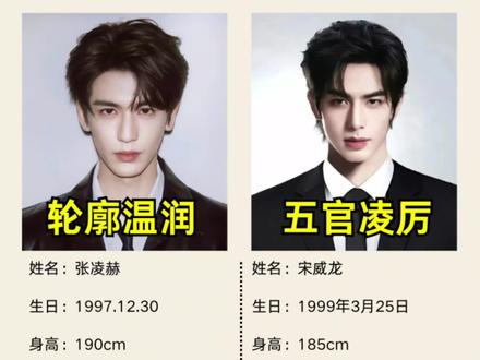 内娱浓颜帅哥惊天学历差#宋威龙#张凌赫#娱乐#明星#帅哥