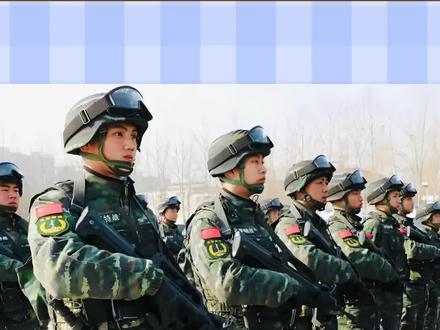 武警和特警哪一个更厉害#内容过于真实