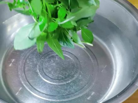 凉拌金芥怎么做才鲜嫩,掌握方法,翠绿不出水,爽口开胃又简单 #家常菜 #简单美食 #凉拌菜 #减脂餐