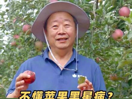 #三农 达哥说农-苹果的黑星病你真的了解吗#农业种植 #苹果种植