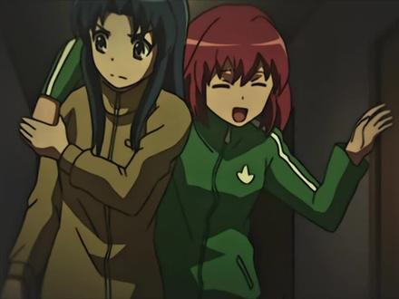 人才两空,实乃梨🍐#龙与虎