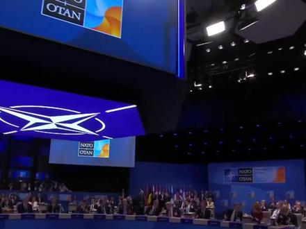 北约海牙峰会开幕现场 #热点新闻事件 #翻译 #英语学习