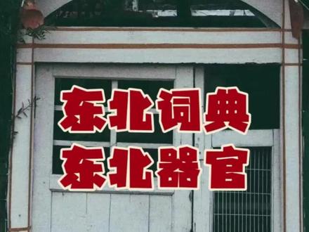 东北词典:东北器官 #东北话词典 #波棱盖 #奔楼头 #哈拉巴 #囔囔踹