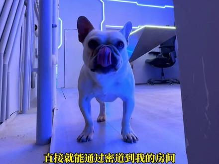 秘密基地居然能直接能从通风管道直接到家?今天带你们看看秘密基地又挖到了哪里?#usmile笑容加
