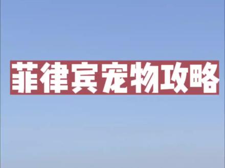 菲律宾🇵🇭宠物回国攻略来喽😄
三证一芯🤔
🙋阔以带宠物去薄荷岛拉
#宠物回国 #美国带宠物回国攻略 #菲律宾宠物回国 #菲律宾宠物托运 #菲律宾宠物运输