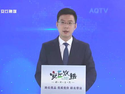 凌河街道:“90后”女书记孙林丽的兴村梦想