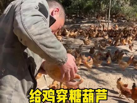 这样的方式太有创意了