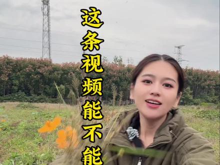 愿吾豫地漂泊诸君子,前程似锦,未来可期。谨以此文,致敬。